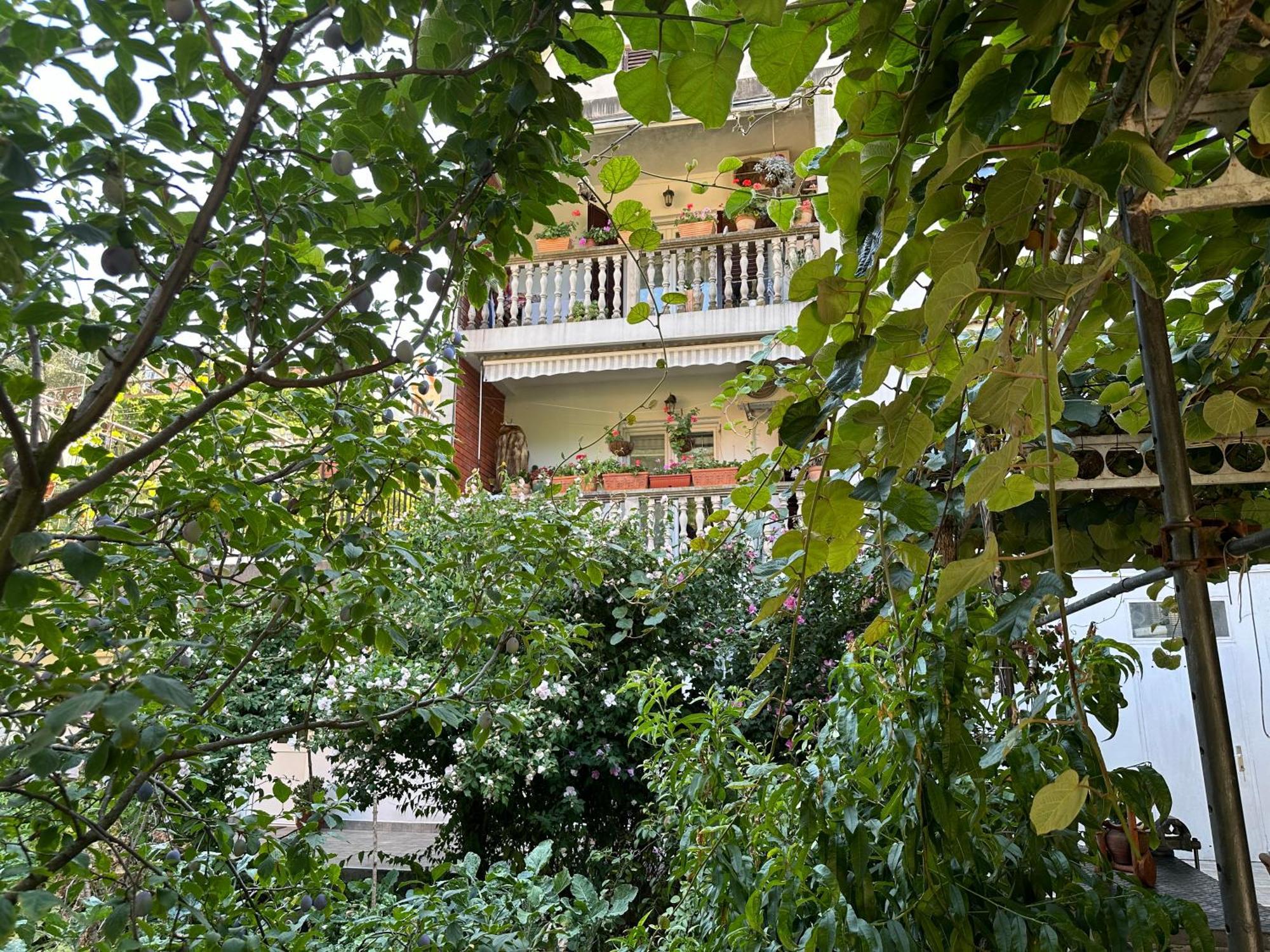 Apartments Suzana Herceg Novi Exterior foto